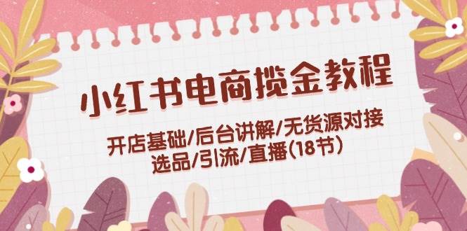 小红书电商揽金教程：开店基础/后台讲解/无货源对接/选品/引流/直播(18节)-天天资源网