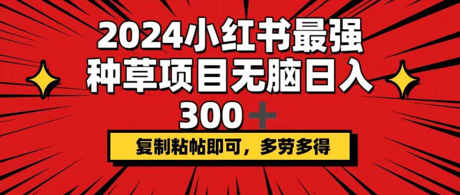 2024小红书最强种草项目，无脑日入300+，复制粘帖即可，多劳多得-天天资源网