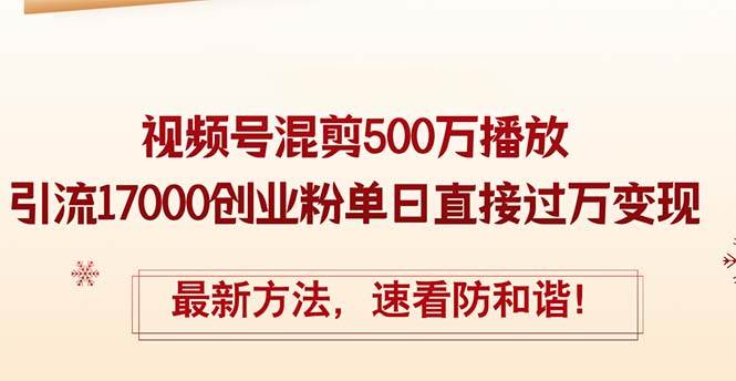 精华帖视频号混剪500万播放引流17000创业粉，单日直接过万变现，最新方…-天天资源网