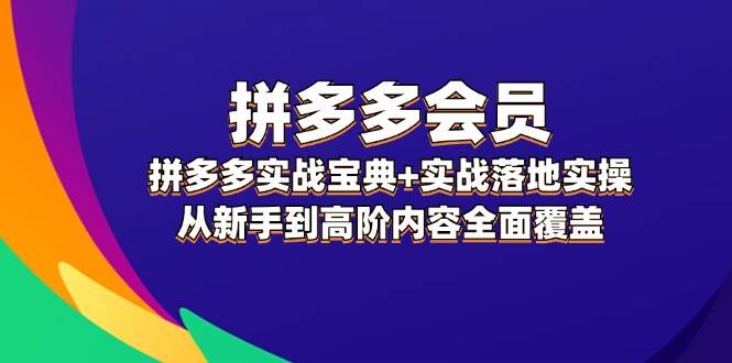 拼多多 会员，拼多多实战宝典+实战落地实操，从新手到高阶内容全面覆盖-天天资源网