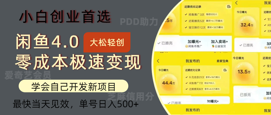 闲鱼0成本极速变现项目，多种变现方式，单号日入500+最新玩法-天天资源网