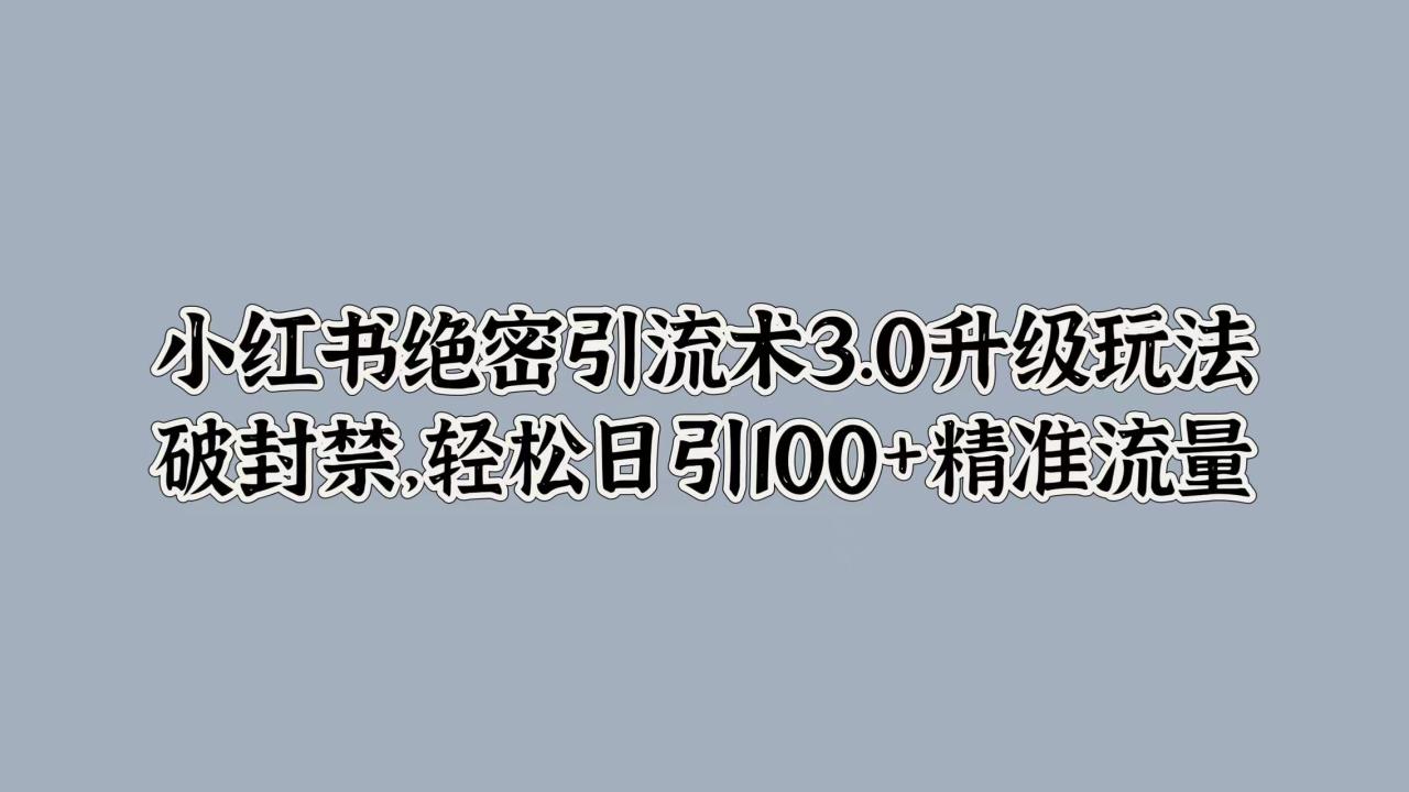 小红书绝密引流术3.0升级玩法，破封禁，轻松日引100+精准流量-天天资源网