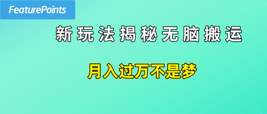 简单操作，每天50美元收入，搬运就是赚钱的秘诀！-天天资源网