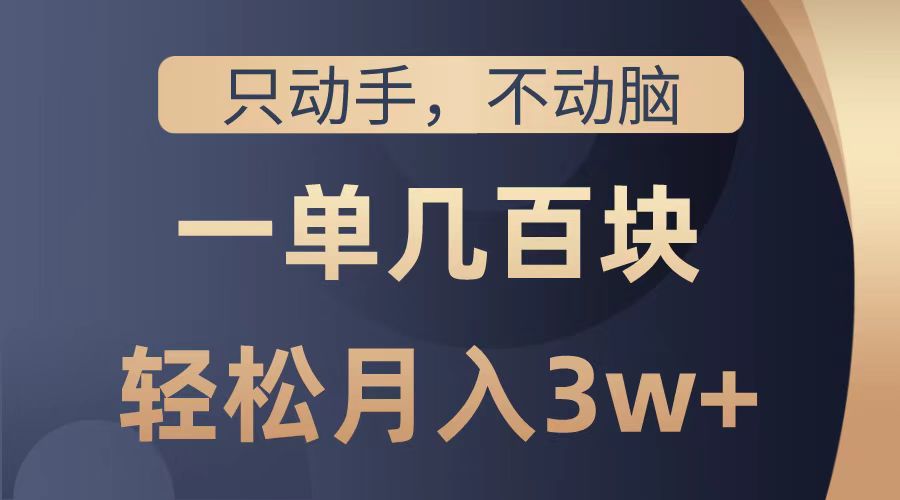 只动手不动脑，一单几百块，轻松月入2w+，看完就能直接操作，详细教程-天天资源网