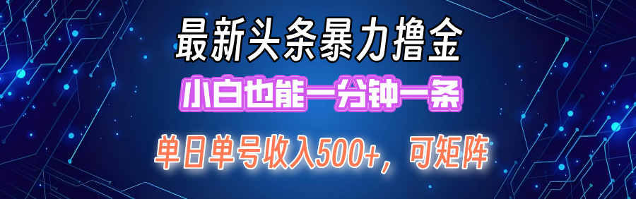 最新头条撸金，小白也能一分钟一条-天天资源网