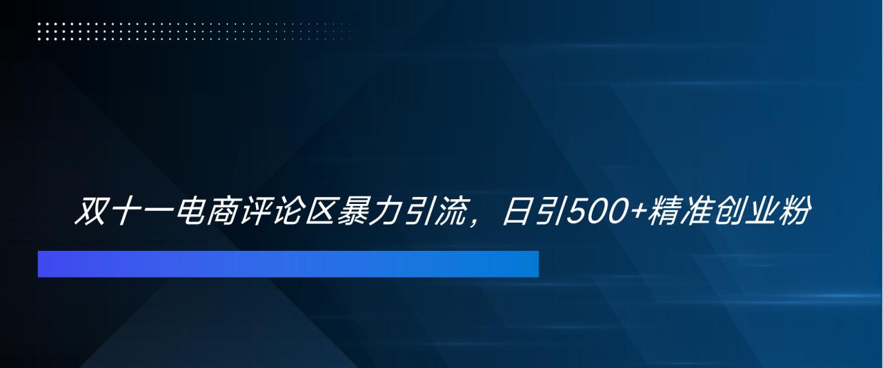 双十一电商评论区暴力引流，日引500+精准创业粉！！！-天天资源网