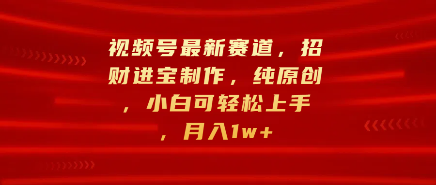 视频号最新赛道，招财进宝制作，纯原创，小白可轻松上手，月入1w+-天天资源网