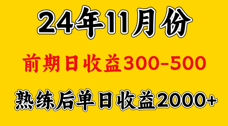 轻资产项目，前期日收益500左右，后期日收益1500-2000左右，多劳多得-天天资源网