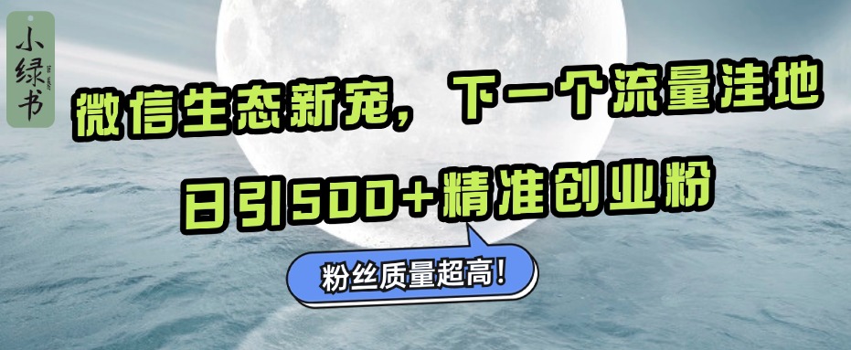 微信生态新宠小绿书：下一个流量洼地，粉丝质量超高，日引500+精准创业粉，-天天资源网