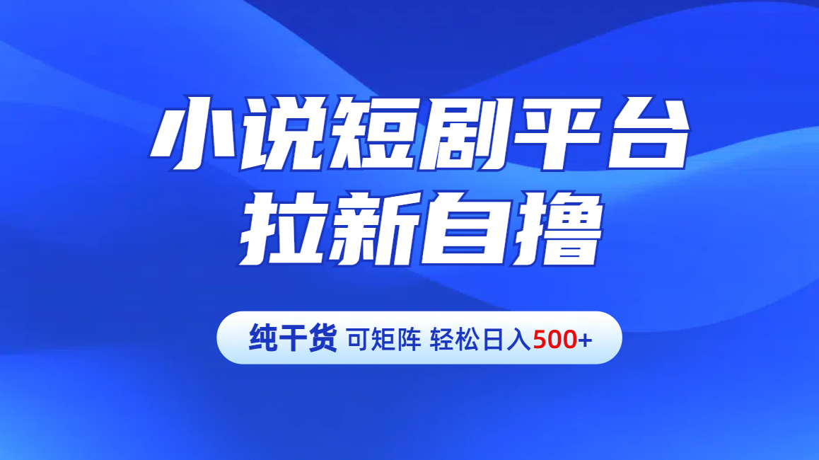 【纯干货】小说短剧平台拉新自撸玩法详解-单人轻松日入500+-天天资源网