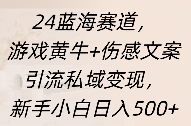 24蓝海赛道，游戏黄牛+伤感文案引流私域变现，新手日入500+-天天资源网