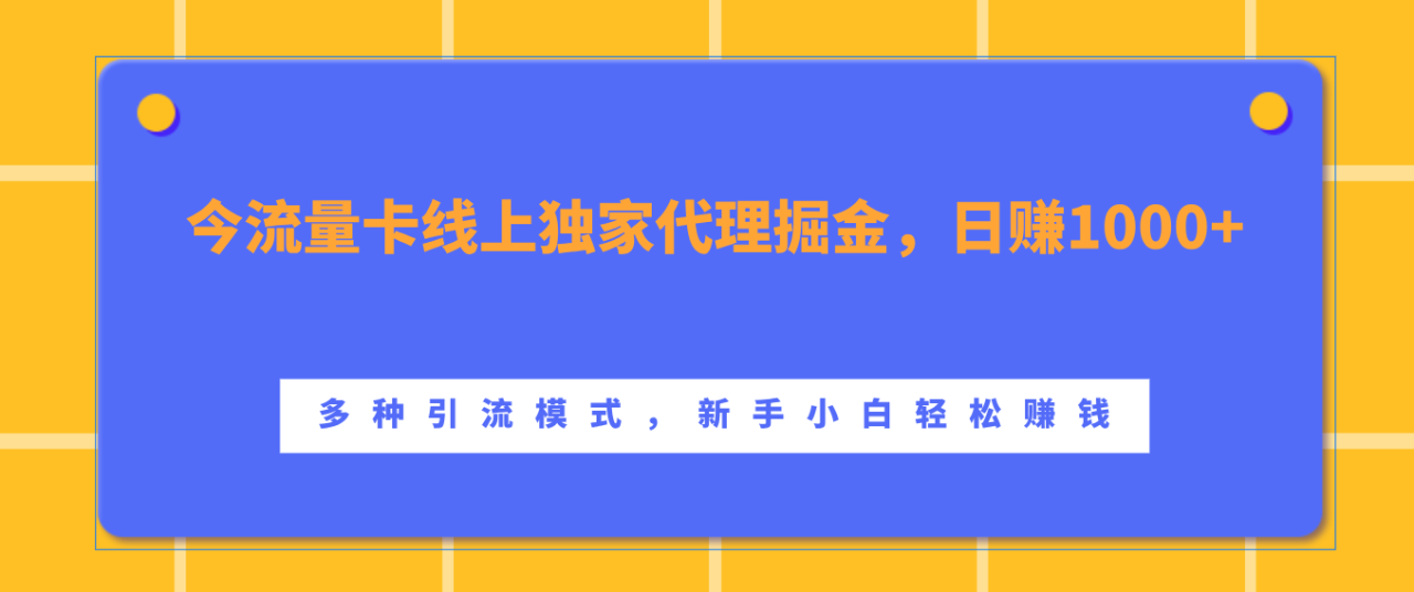 流量卡线上独家代理掘金，日赚1000+ ，多种引流模式，新手小白轻松赚钱-天天资源网