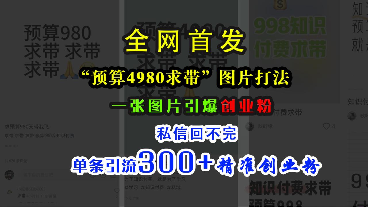 小红书“预算4980带我飞”图片打法，一张图片引爆创业粉，私信回不完，单条引流300+精准创业粉-天天资源网