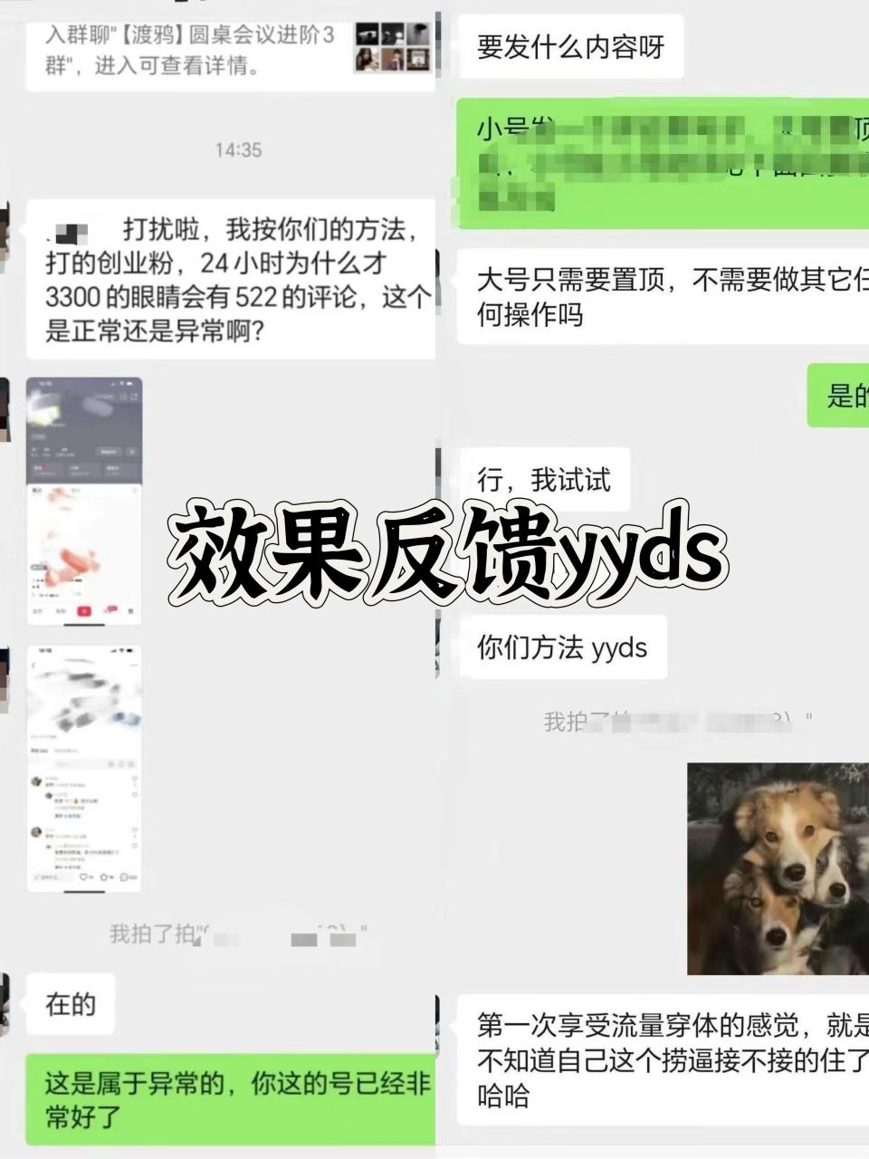 小红书，视频号，抖音黑科技引流玩法，全域平台截流自热打法 日引500+精准粉-天天资源网