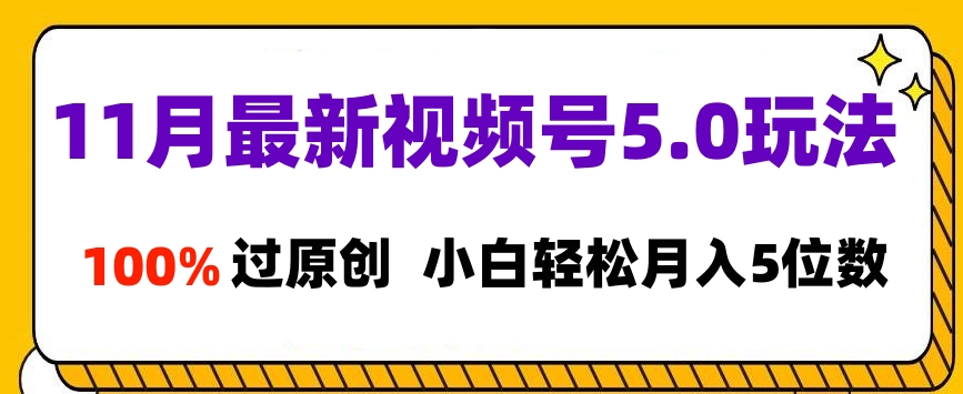 11月最新视频号5.0玩法，100%过原创，小白轻松月入5位数-天天资源网