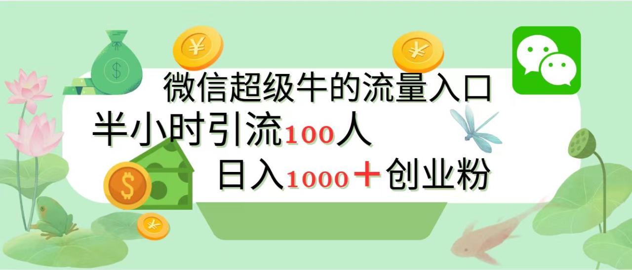 新的引流变现阵地，微信超级牛的流量入口，半小时引流100人，日入1000+创业粉-天天资源网