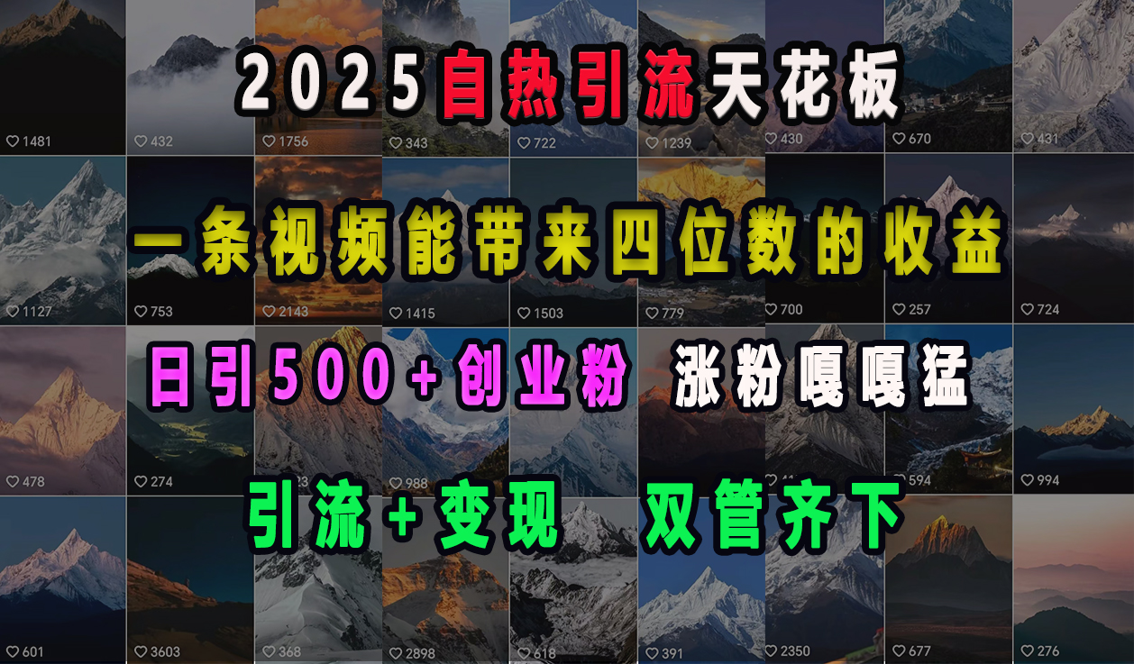 2025自热引流天花板，一条视频能带来四位数的收益，引流+变现双管齐下，日引500+创业粉，涨粉嘎嘎猛-天天资源网