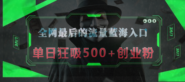 全网最后的流量蓝海入口，半小时引流50+创业粉，单日狂吸500+创业粉-天天资源网