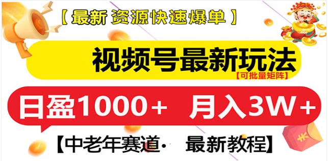 视频号独家玩法，老年养生赛道，无脑搬运爆款视频，日入1000+-天天资源网