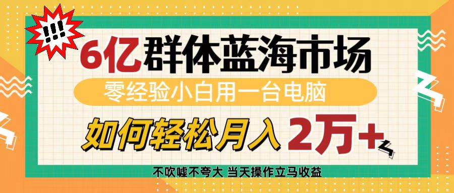 6亿群体蓝海市场，零经验小白用一台电脑，如何轻松月入2万+-天天资源网