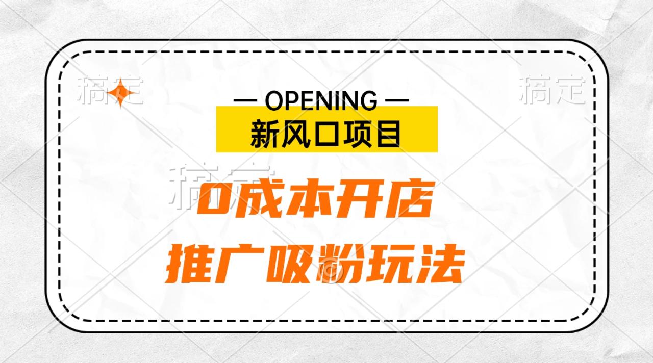 新风口项目、0成本开店、推广吸粉玩法-天天资源网