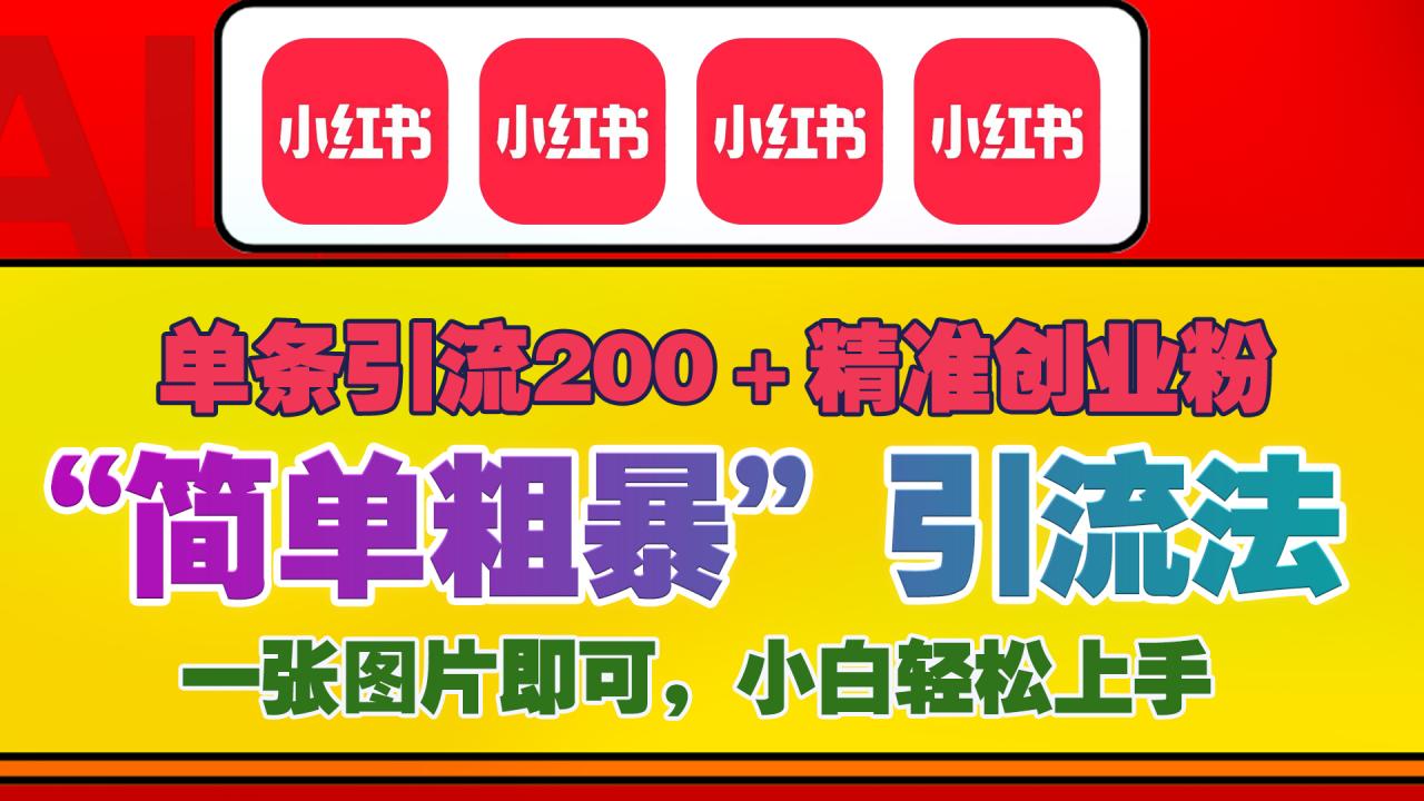 12底最新小红书单日引流200+创业粉，“简单粗暴”引流法，一张图片即可操作，小白轻松上手，私信根本回不完-天天资源网