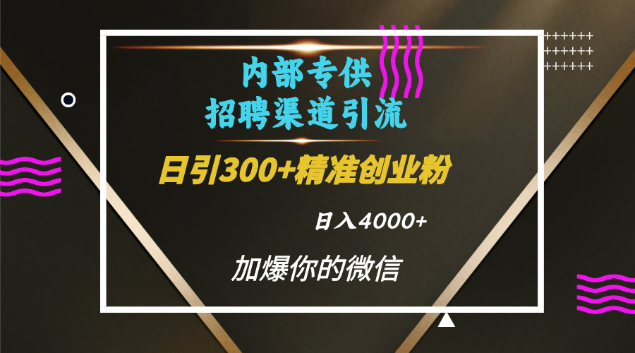 内部招聘引流技术，很实用的引流方法，流量巨大小白轻松上手日引300+精准创业粉，单日可变现4000+-天天资源网