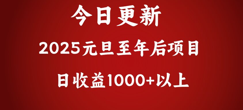 翻身项目，日收益1000+以上-天天资源网