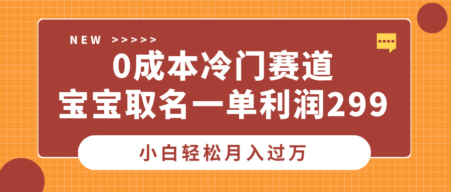 0成本冷门赛道，宝宝取名一单利润299，小白轻松月入过万-天天资源网