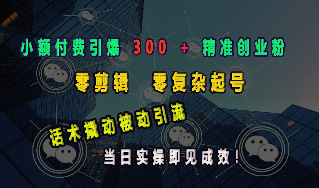 小额付费引爆 300 + 精准创业粉，零剪辑、零复杂起号，话术撬动被动引流，当日实操即见成效！-天天资源网