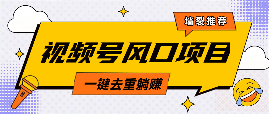 视频号风口蓝海项目，中老年人的流量密码，简单无脑，一键去重，轻松月入过万-天天资源网