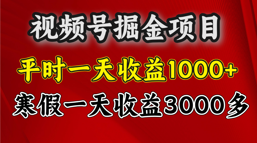 视频号掘金项目，寒假一天收益3000多-天天资源网