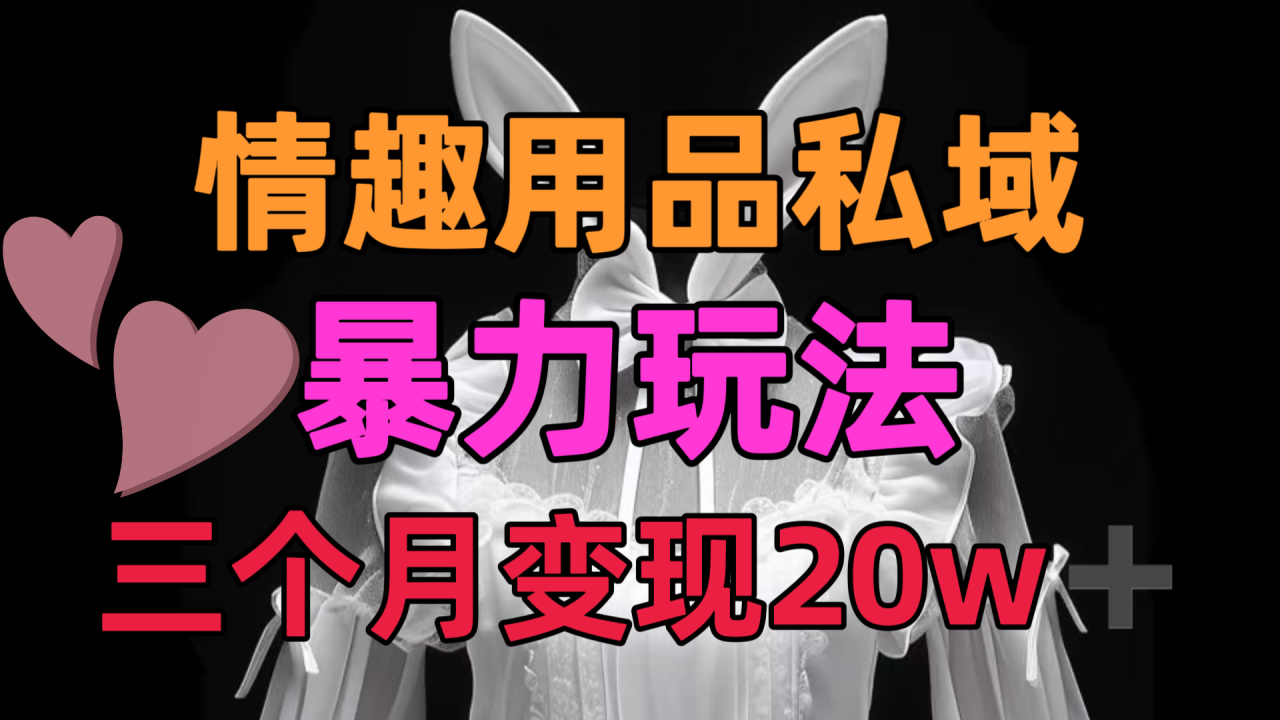 情趣用品私域，25年最新暴力玩法，三个月变现20w➕-天天资源网