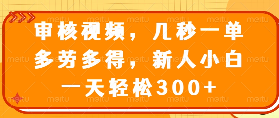 审核视频项目，几秒一单，多劳多得，新人小白一天轻松300+-天天资源网