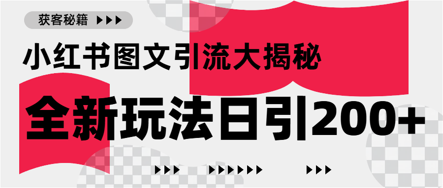 小红书图文引流，只需一张图片即可撬动百万流量，日引200+创业粉-天天资源网