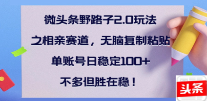 全网首发微头条野路子2.0玩法之相亲赛道，无脑搬砖复制粘贴，单账号日稳定300+保姆级教程-天天资源网