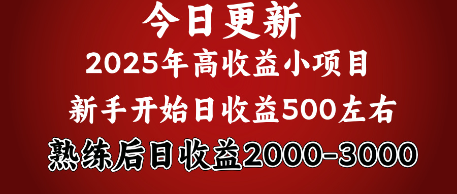 2025开年好项目，新手日收益500+ 熟练掌握后，日收益平均2000多-天天资源网