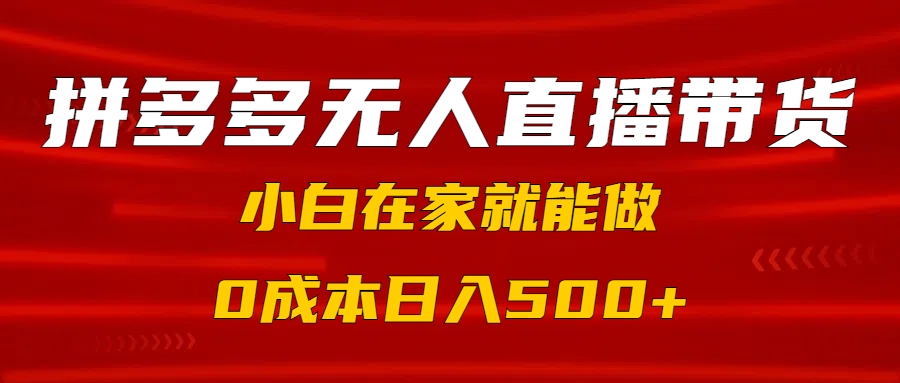 拼多多无人直播带货，小白在家就能做，0成本日入500+-天天资源网