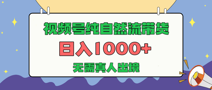 视频号纯自然流带货，日入1000+，无需真人出境，新手小白也可操作-天天资源网