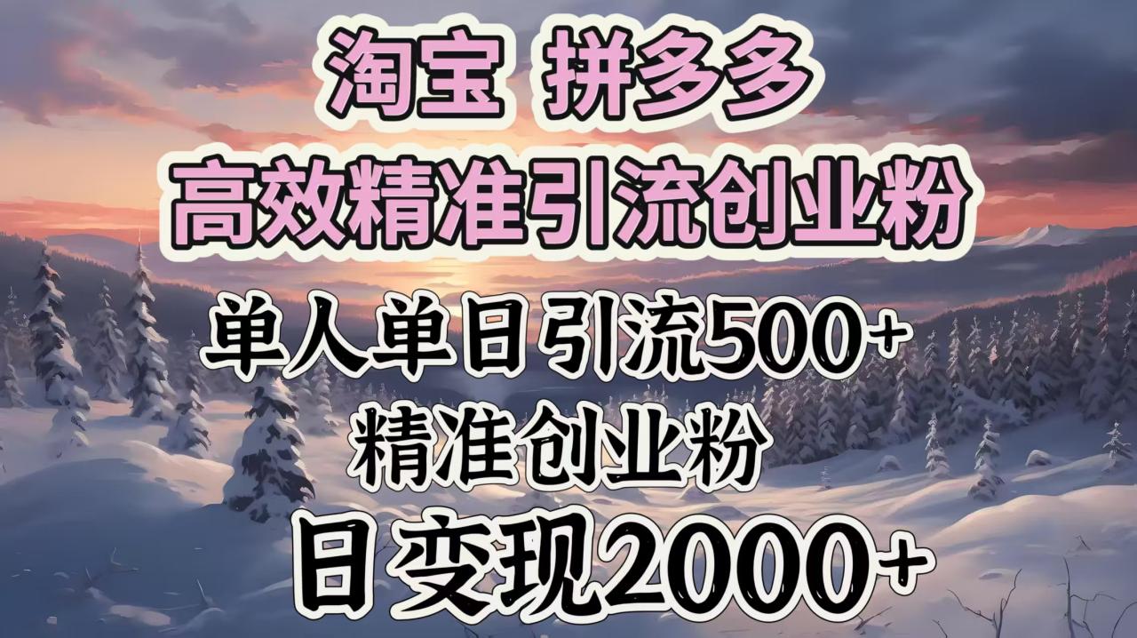 淘宝拼多多高效精准引流创业粉，单人单日引流500＋创业粉，日变现2000＋-天天资源网