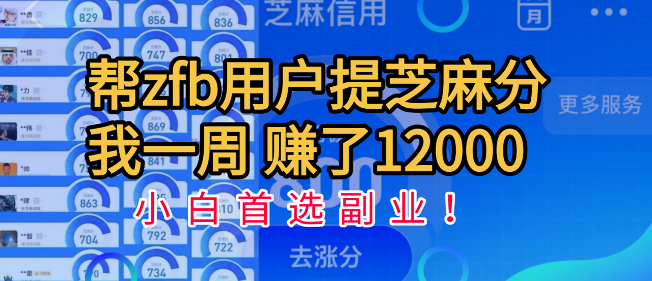 帮支付宝用户提升芝麻分，一周赚了一万二！小白首选副业！-天天资源网