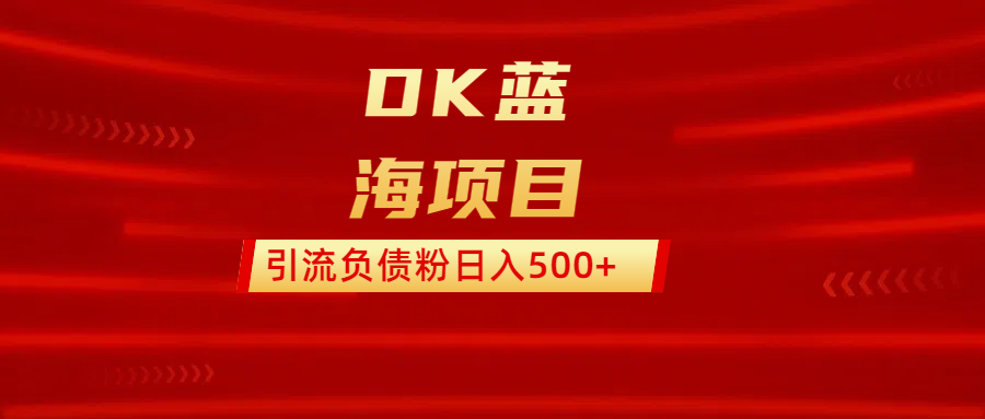 DK蓝海项目  通过，抖音，快手，小红书，引流负债粉日入500+-天天资源网