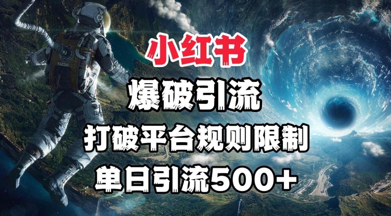 小红书爆破引流，打破平台的规则限制，单日引流500+精准粉-天天资源网