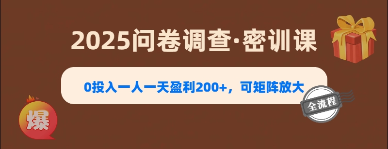 2025《问卷调查》0投入一人一天盈利200+，可矩阵放大-天天资源网