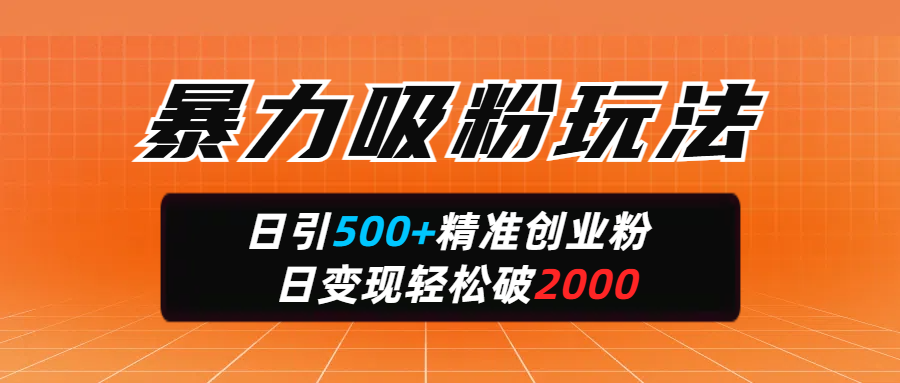 暴力吸粉玩法，日引500+精准创业粉，日变现轻松破2000-天天资源网