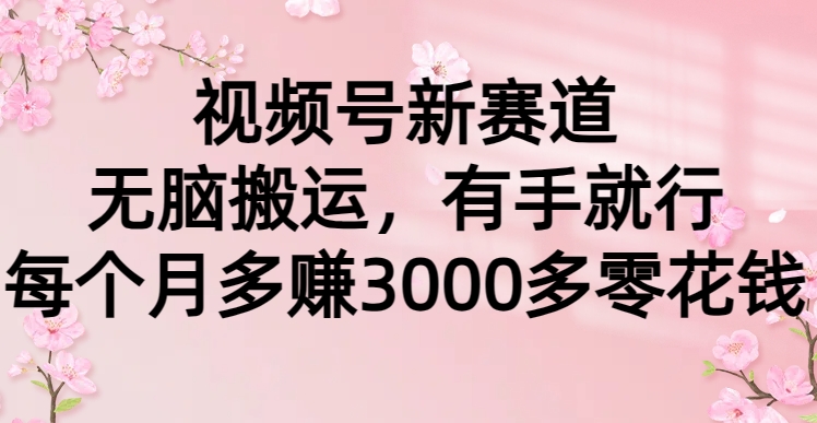 视频号新赛道，无脑搬运，有手就行，每个月多赚3000多零花钱-天天资源网