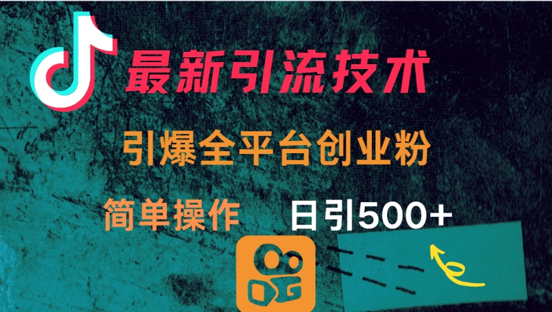 最新引流方法，引爆全平台创业粉操作简单，日引300＋-天天资源网